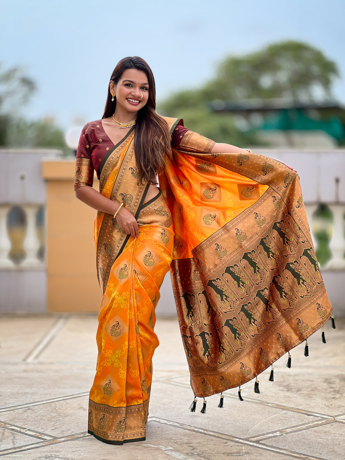 Paithani Traditional