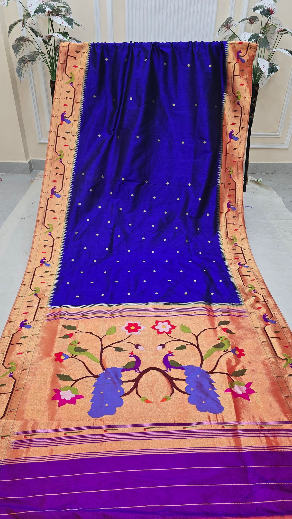 Peacock Parrot Border