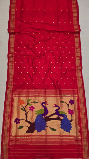 Fancy Traditional Pallu