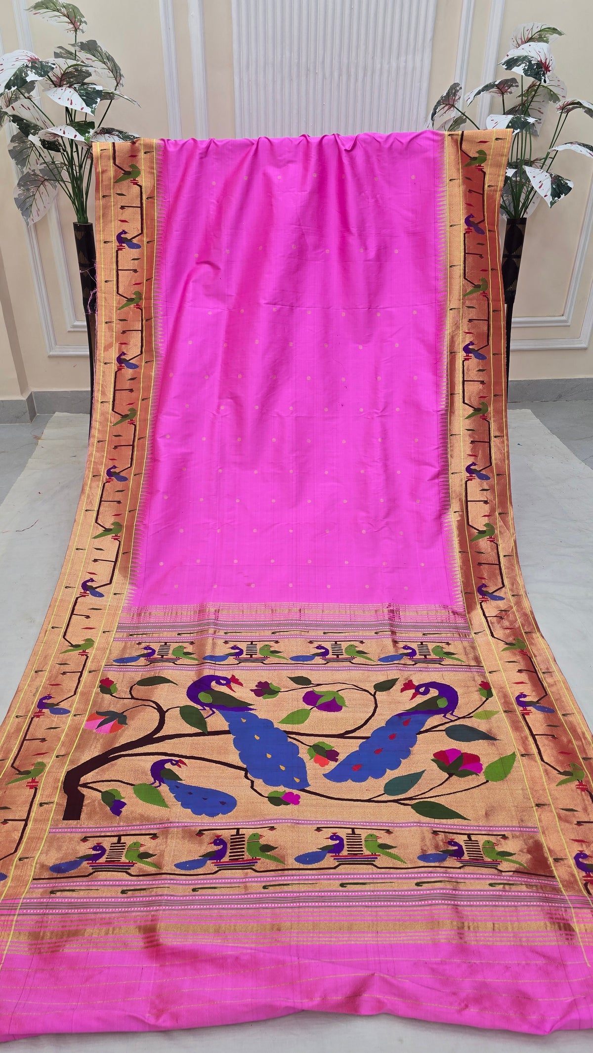 Peacock Parrot Border