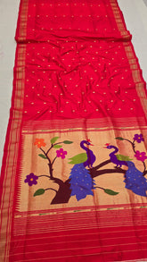 Fancy Traditional Pallu