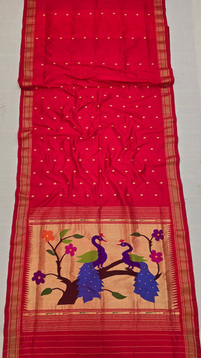 Fancy Traditional Pallu