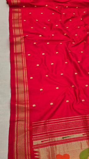 Fancy Traditional Pallu